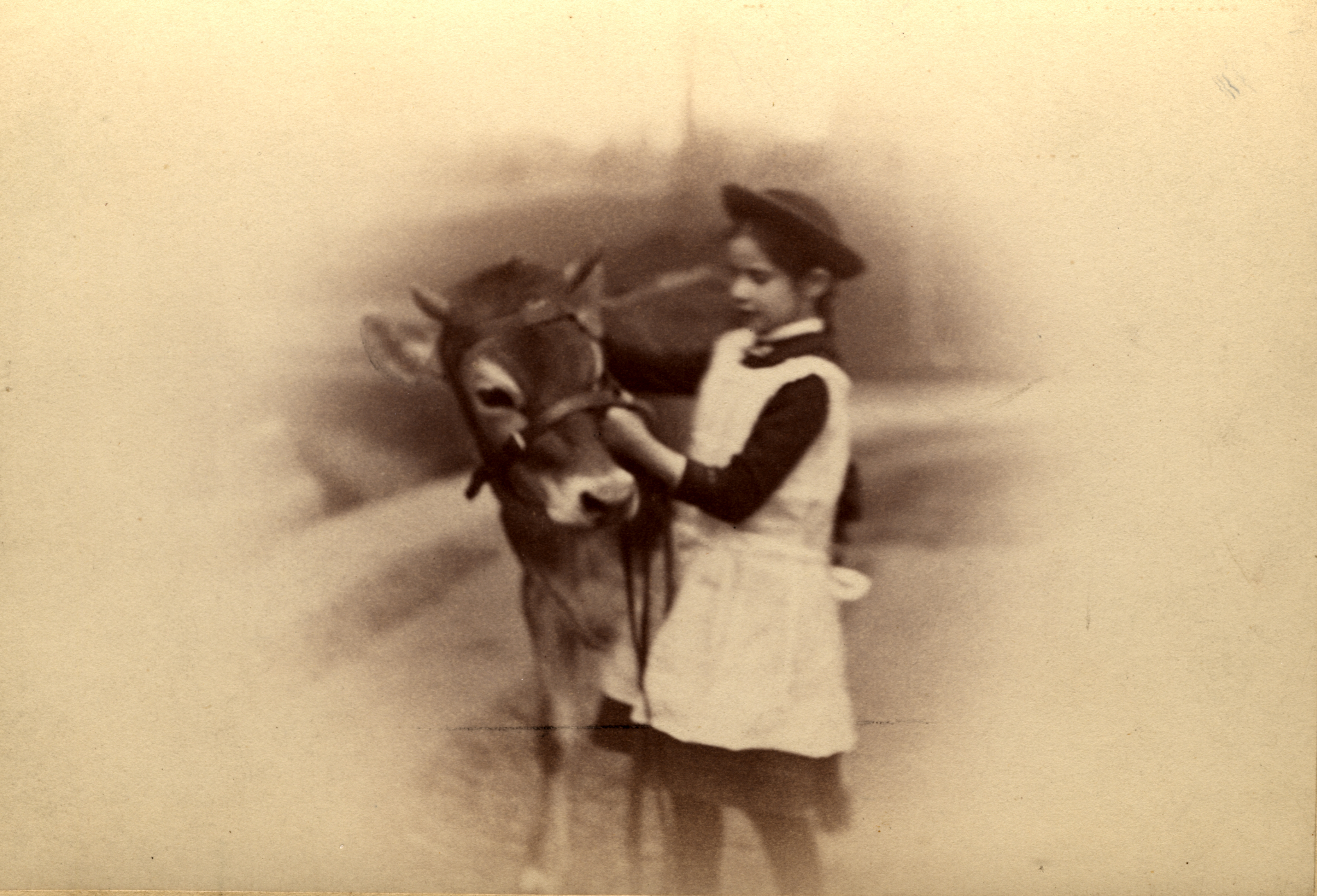 click to see item Clara with Jumbo